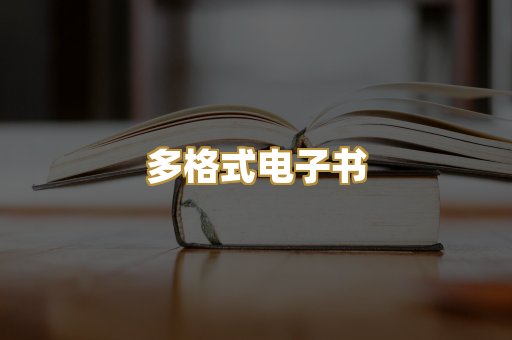 多格式电子书
